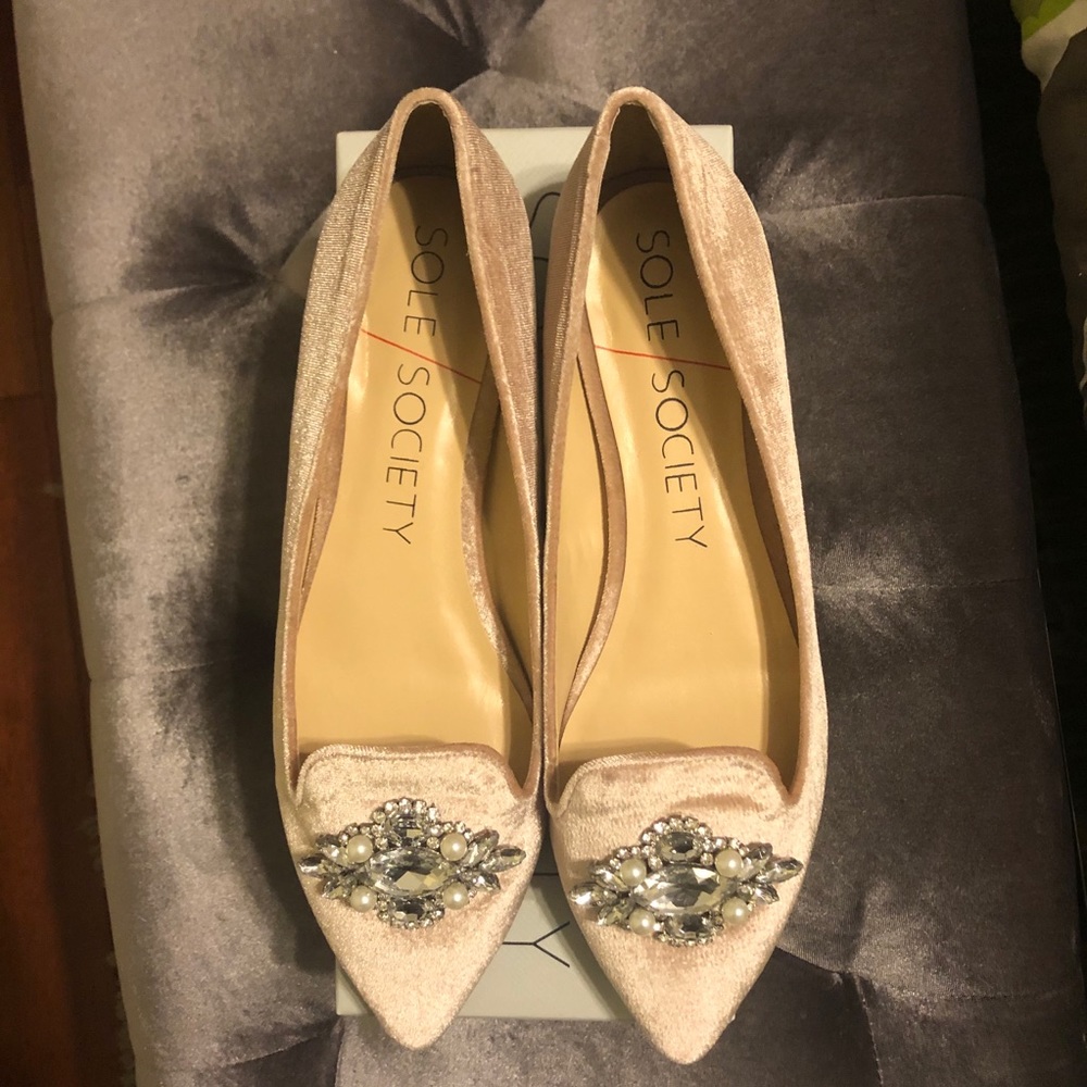Embellished velvet pointed toe flats